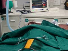 -佳雯宠物医院(金华南路分院)