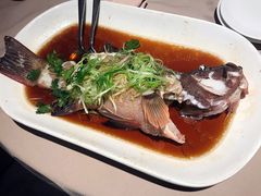 -八樂居