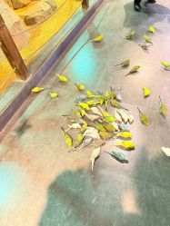 -酷嗒动物文化乐园(cutezoo西溪乐天城店)