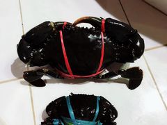 -海盗餐厅