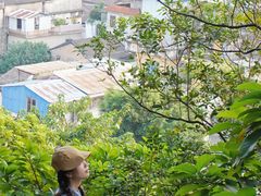 -佛山华盖山公园