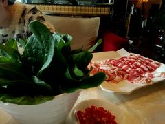 android_upload_pic-红鼎豆捞(珞狮路店)