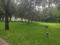 -唐城墙遗址公园