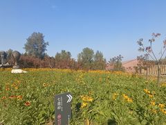 -长春世界雕塑园冰雪艺术天地