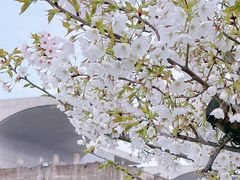 -龙美术馆(西岸馆)