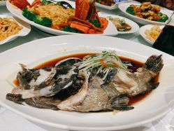 -大连城堡豪华精选酒店·宴会厅