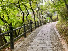 -苏州上方山国家森林公园