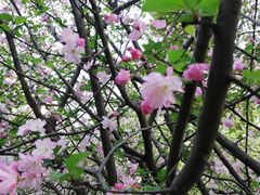 -杭州半山国家森林公园