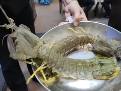 -凤城礼记鱼翅海鲜酒家(新马路总店)