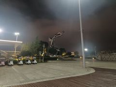 -九龙湖公园