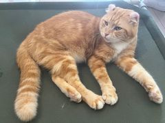-平行世界·猫咖(首经贸店)