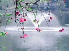-重庆彩云湖湿地公园