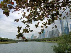-万绿园