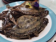 -天天鱼港·海鲜·鲅鱼水饺·招牌烤鸭(黄骅店)