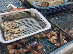 -天盛海鲜烧烤大排档·本地小海鲜·牟平腿穗子(幸福店)