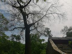 -北京上方山国家森林公园