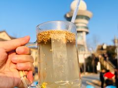 -长沙黑麋峰国家森林公园