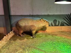 -太阳岛度假酒店