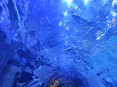 -华夏文旅西安度假区