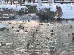 -水磨沟公园