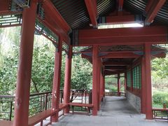 -北坞公园
