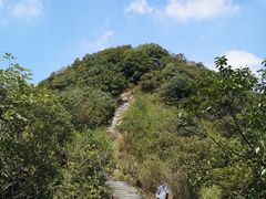 -午潮山国家森林公园