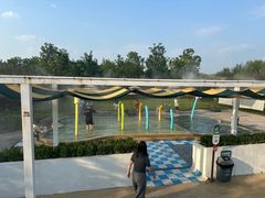 -爪吧宠物乐园 (温榆河示范区店)