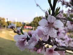 -美兰湖景区