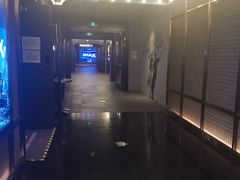 -CGV影城(卓悦中心 IMAX激光店)