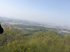 -紫金山山顶公园