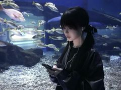 -海合安武汉极地海洋公园