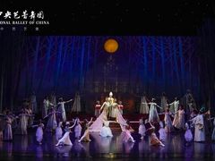 -中央芭蕾舞团·中芭艺蕾(酒仙桥明星校区)