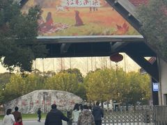 -上海海湾国家森林公园