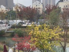 -状元人家·公园别墅衡东土菜(溪悦荟店)