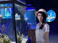 -合肥海洋世界