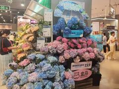 -盒马鲜生(岭南新世界店)