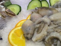 -渔傅·蓝海岸霞浦海鲜(正祥店)