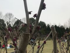 -白塘生态植物园