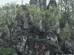 -千岛湖石林