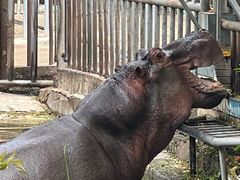 -南宁市动物园