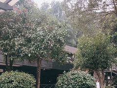 -三江森林温泉度假区