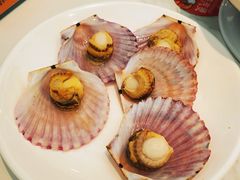 扇贝-海味当家·蒸锅海鲜(中山广场创始店)