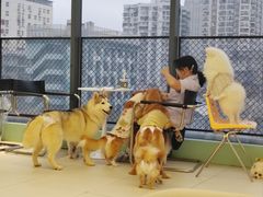 -怪兽屋·羊驼·猫咖·狗咖(俊华广场店)