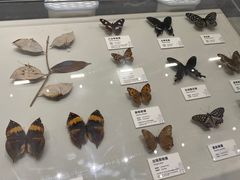 -四川大学博物馆