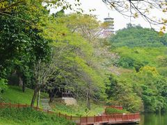 -深圳国际园林花卉博览园