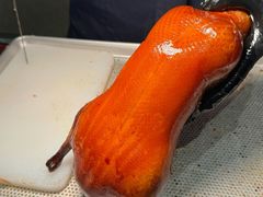酥不腻烤鸭-四季小馆·潤·中国菜(越秀公园店)