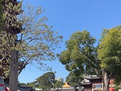 -龙华素斋(龙华路店)