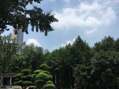 -龙头寺公园