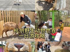 -杭州野生动物世界
