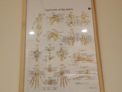 -优复医疗·骨科康复UP Clinic(陆家嘴院区)